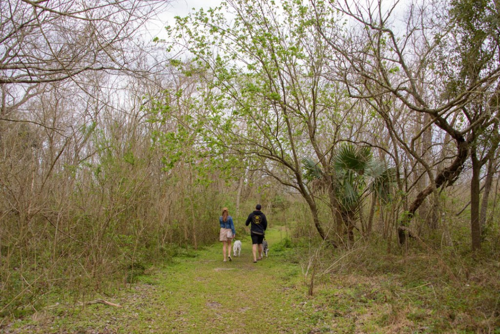Woman, man and two dogs walking along wooded nature trail at Saint Bernard State Park, Braithwaite, Louisiana
