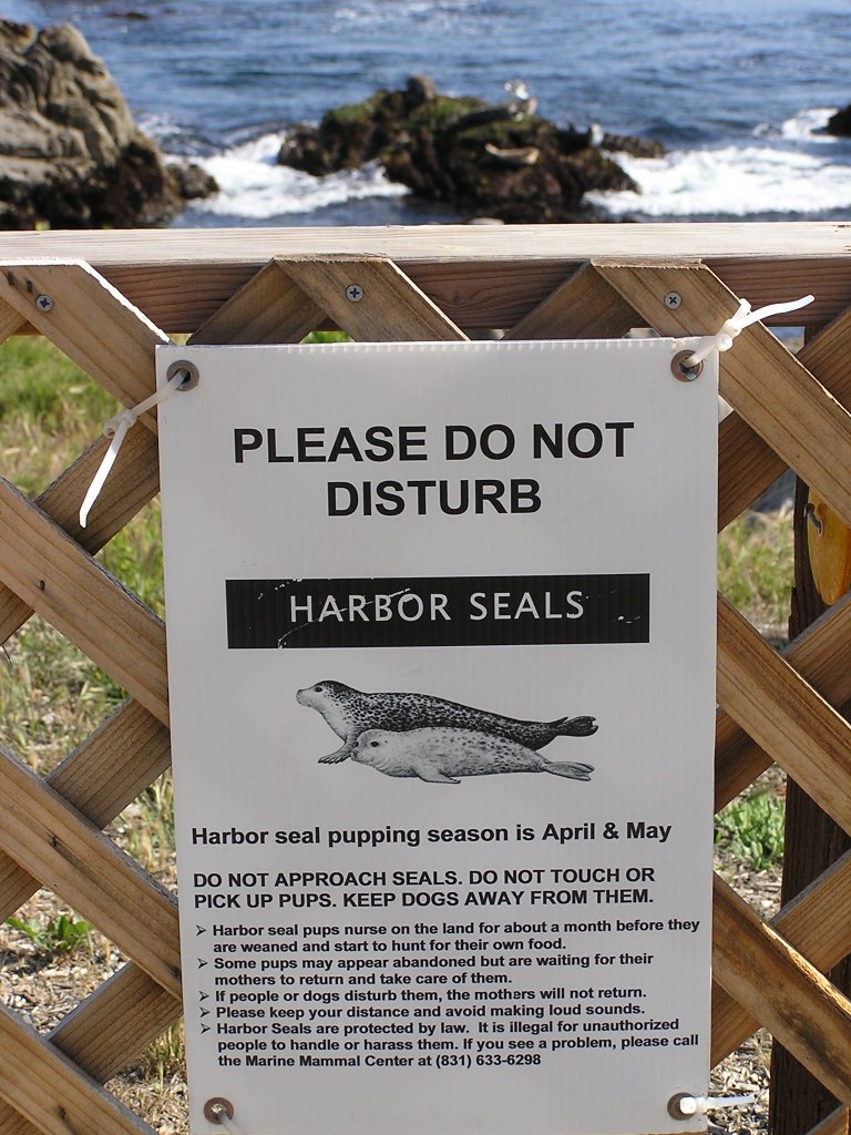 Sign posted on fencing along Monterey Bay Coastal Trail, stating "Please do not disturb Harbor Seals" and noting that it's Harbor seal pupping season.